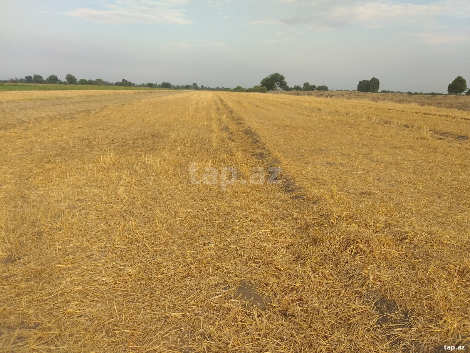 2.3 sot torpaq sahəsi, Tərtər r.