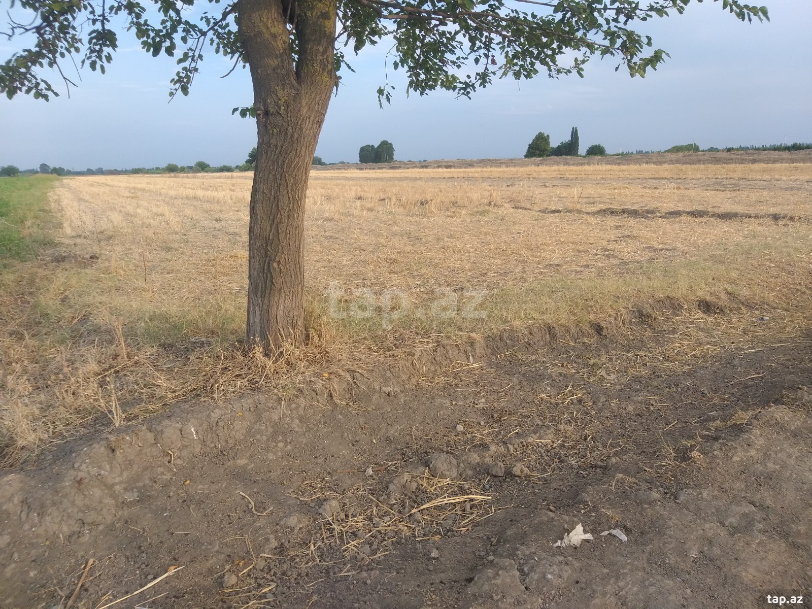 2.3 sot torpaq sahəsi, Tərtər r.