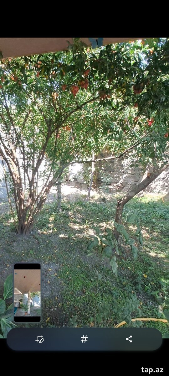 Həyət evi, Şəki ş.