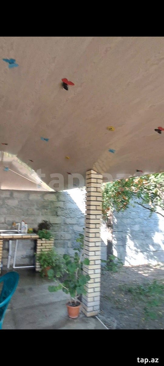Həyət evi, Şəki ş.
