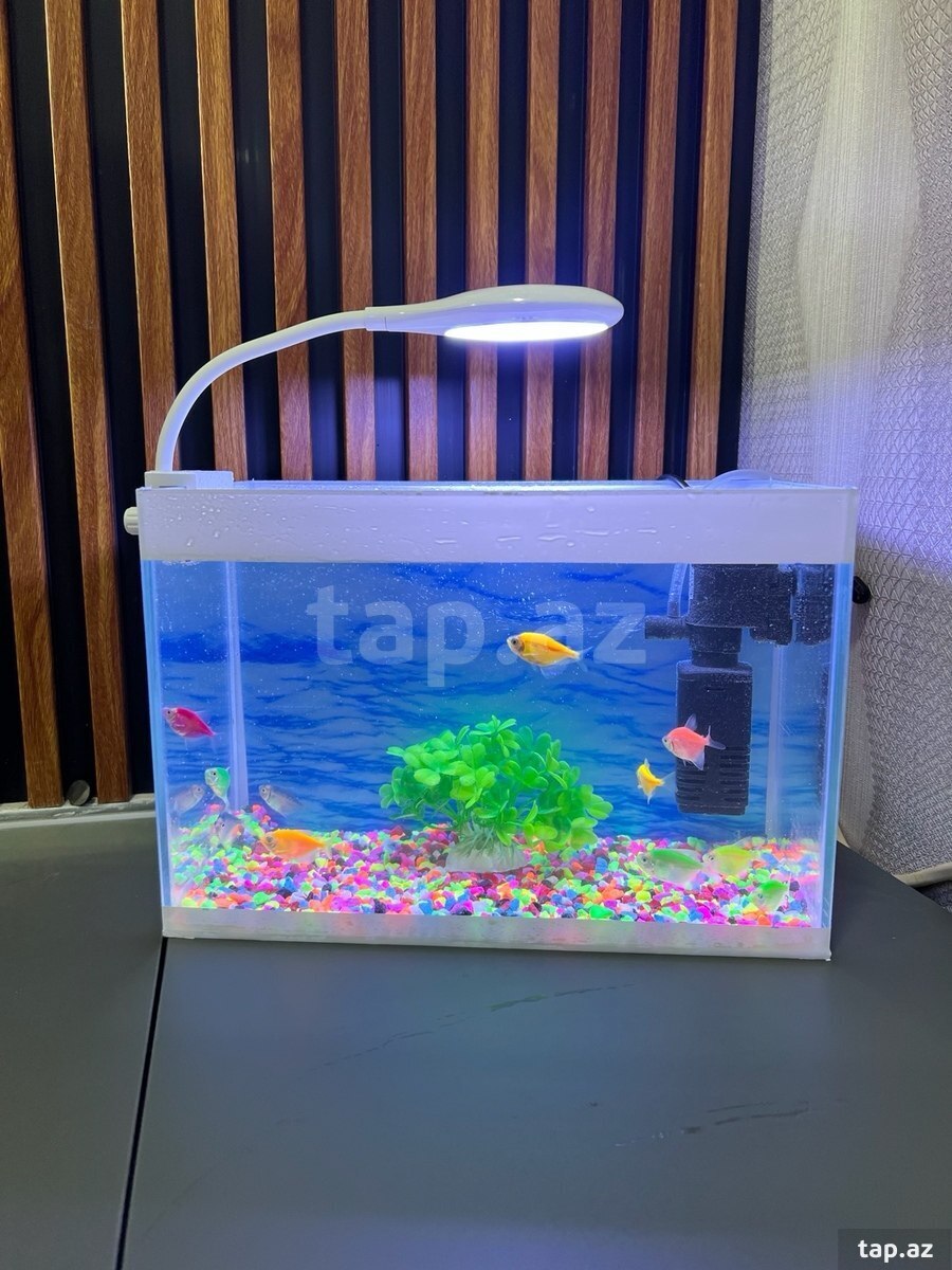 Akvarium 9 lt