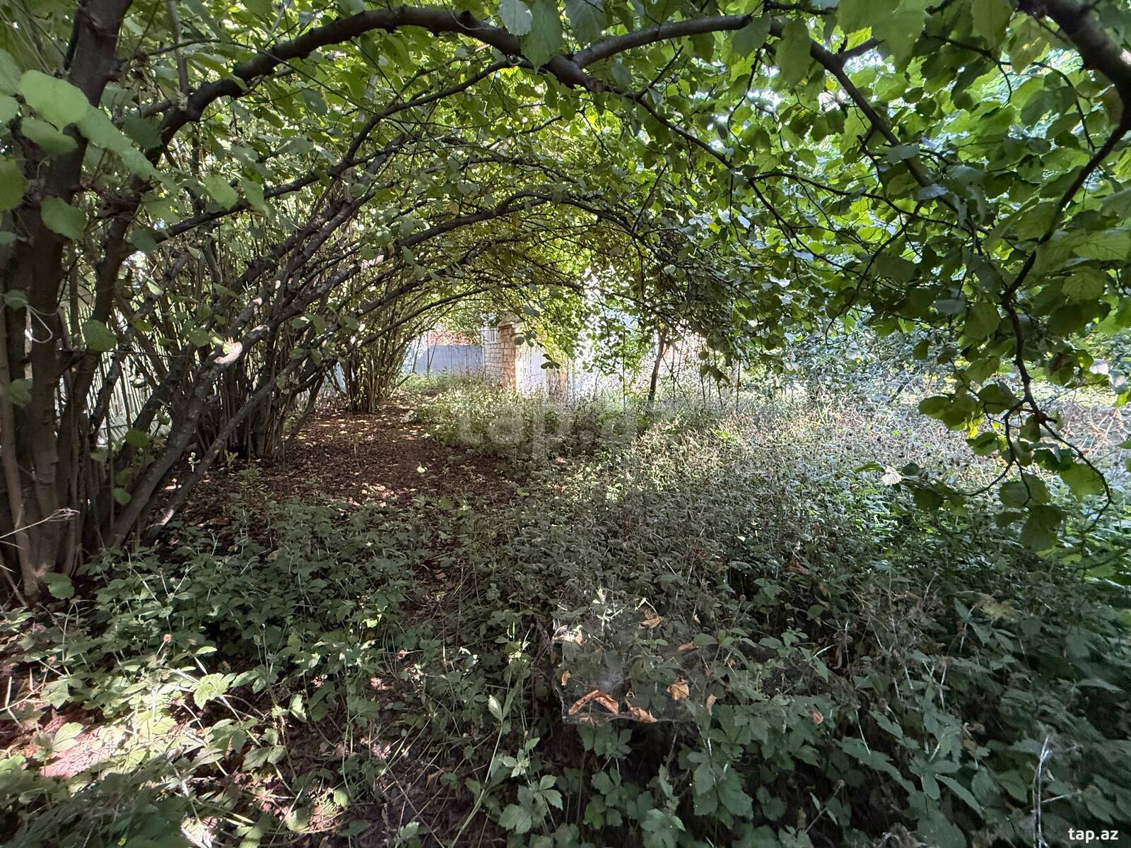 Həyət evi, İsmayıllı r.