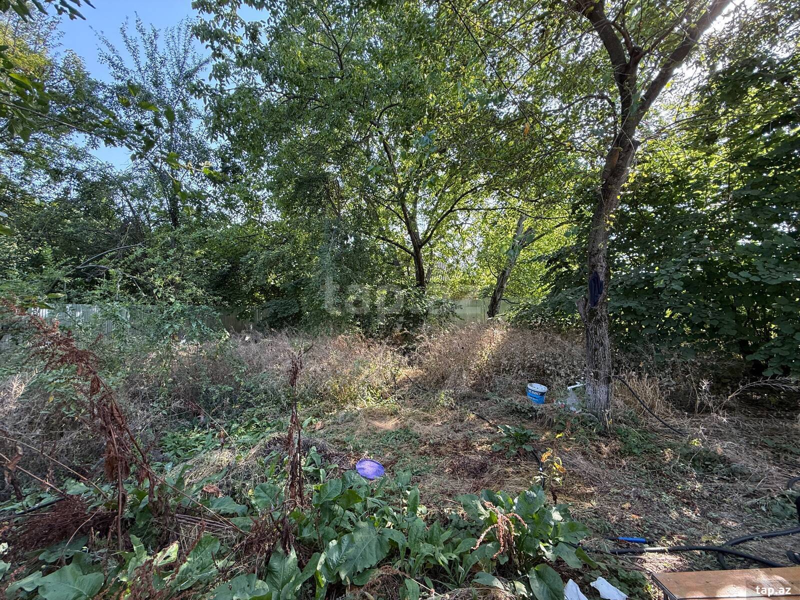 Həyət evi, İsmayıllı r.