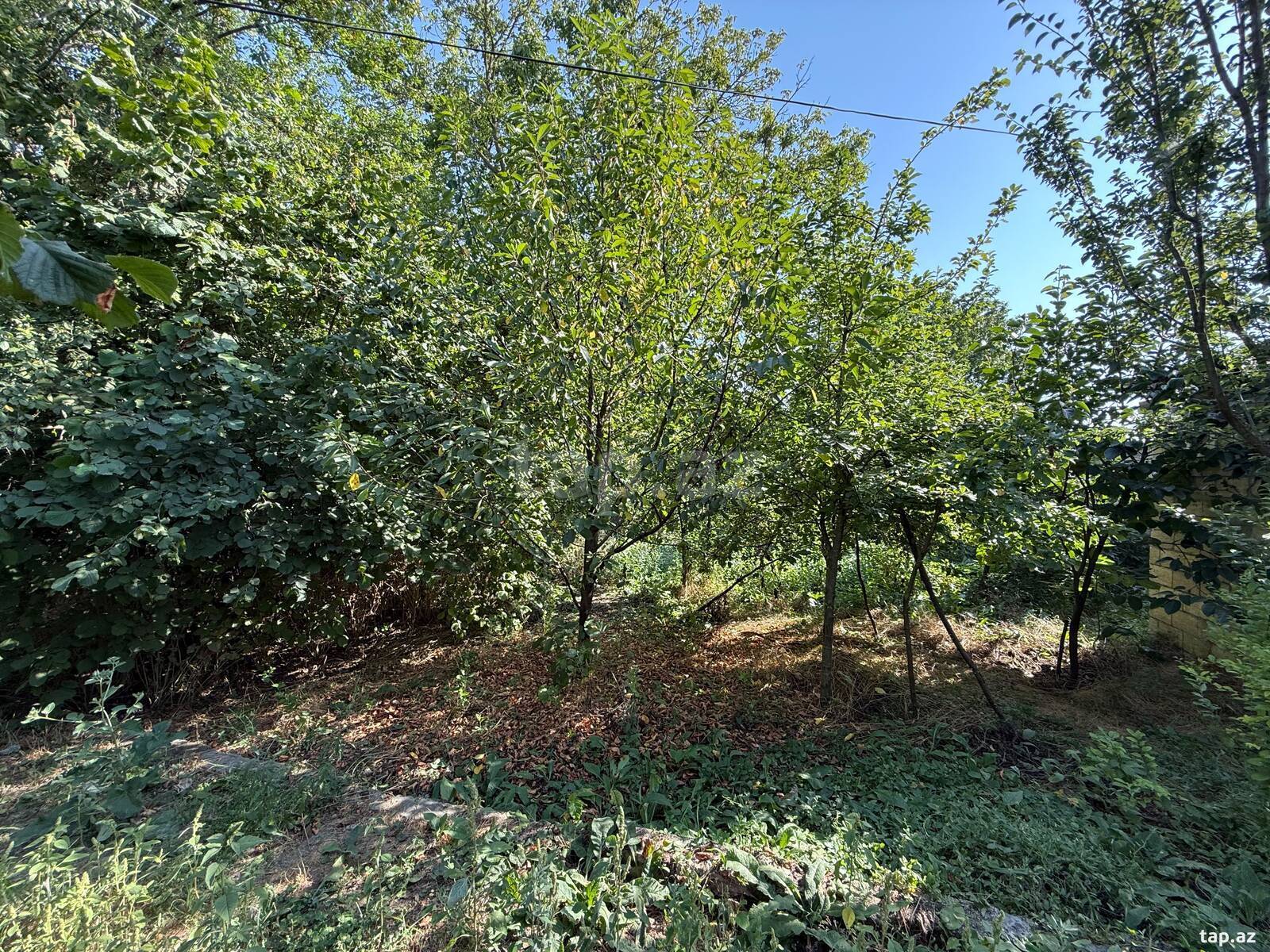 Həyət evi, İsmayıllı r.