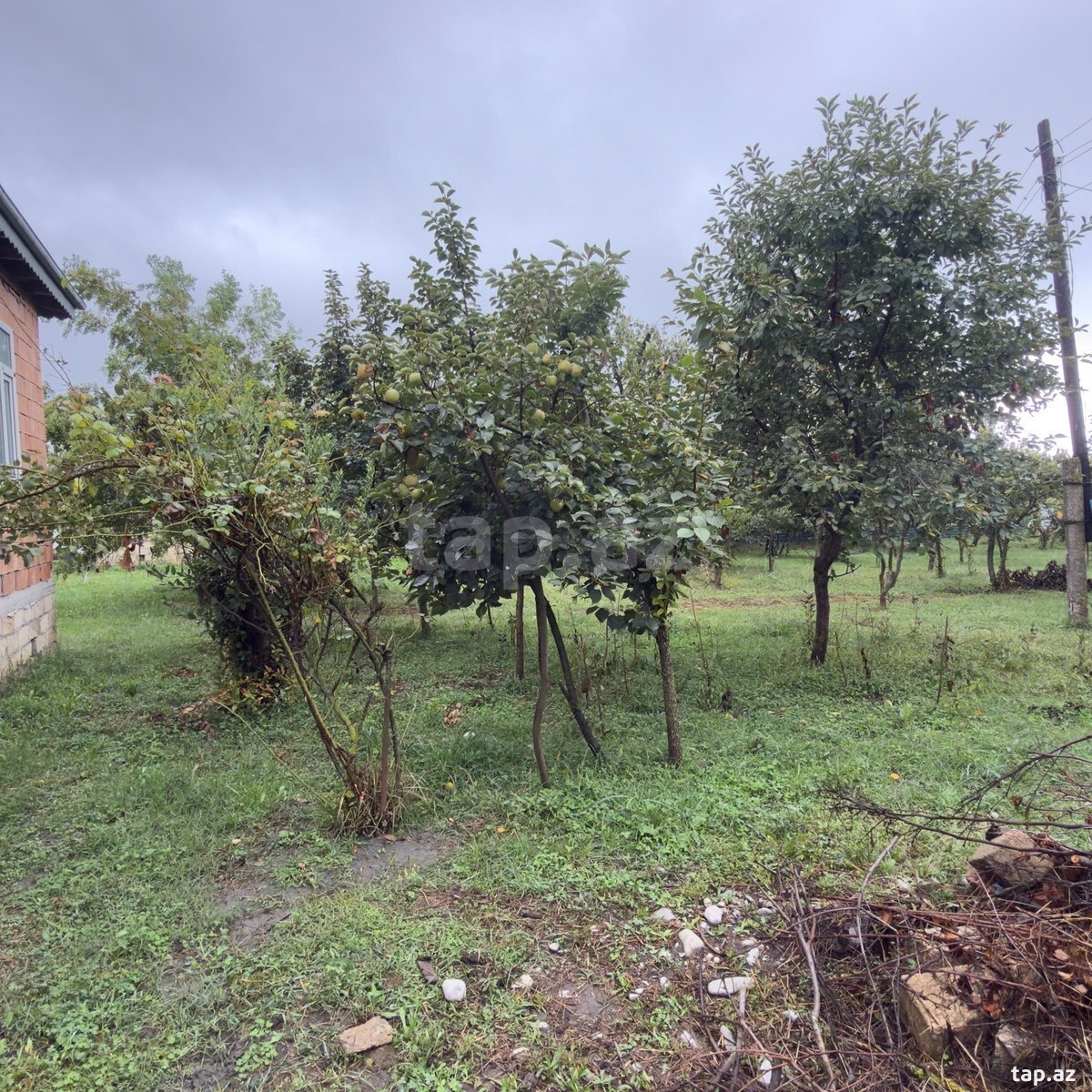 Bağ evi, Göyçay r.