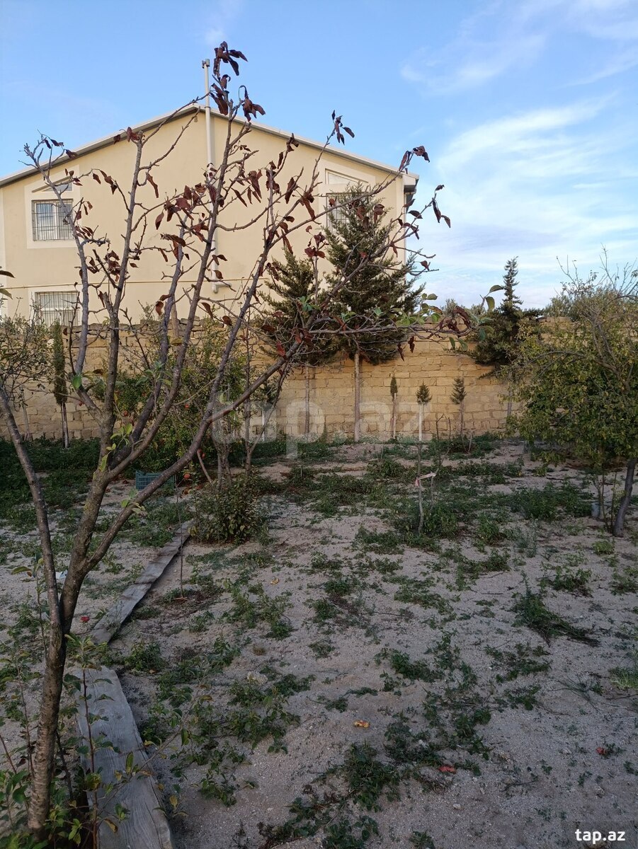 Torpaq satılır, Bakı