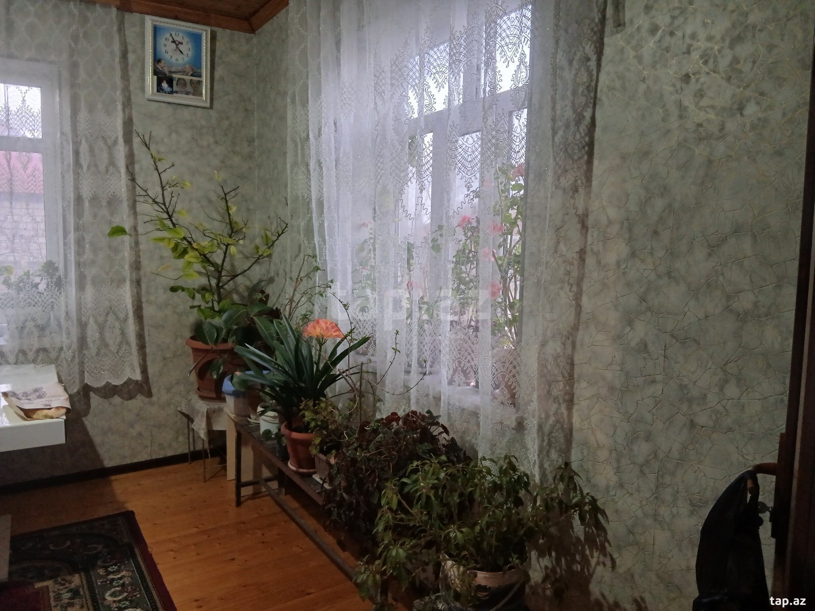 Həyət evi kirayə verilir, Şəki ş.