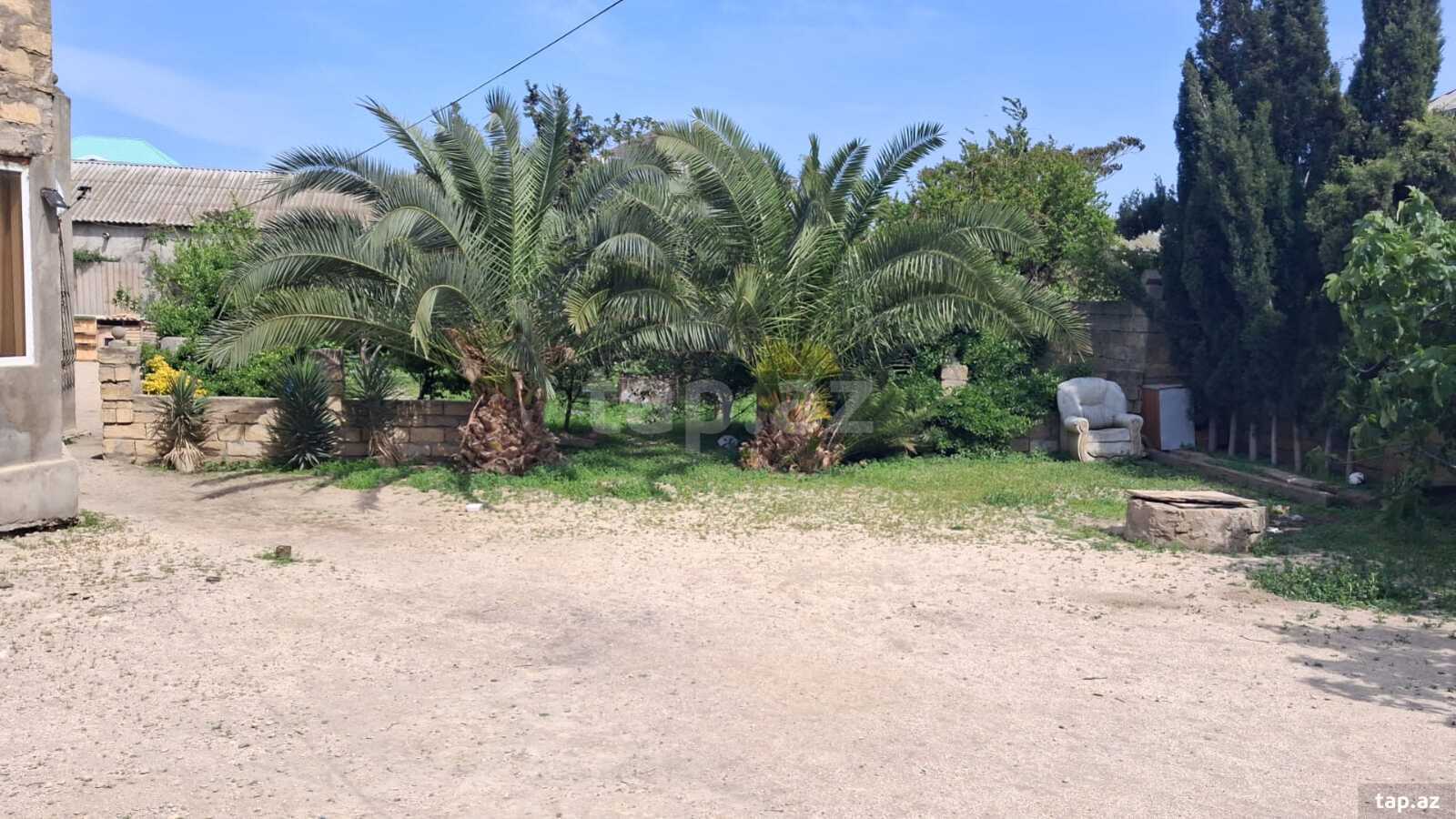 19 sot torpaq sahəsi, Corat k.