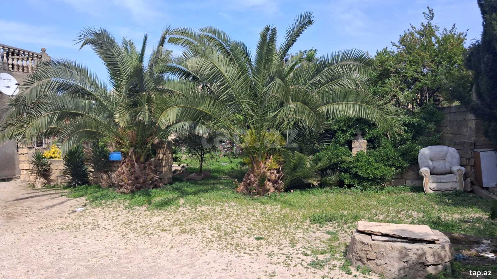 19 sot torpaq sahəsi, Corat k.