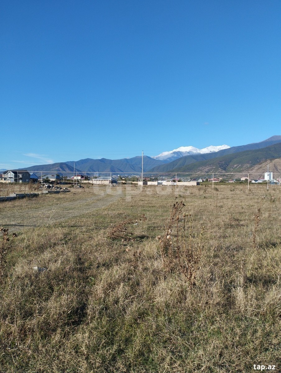 Torpaq satılır, Şəki