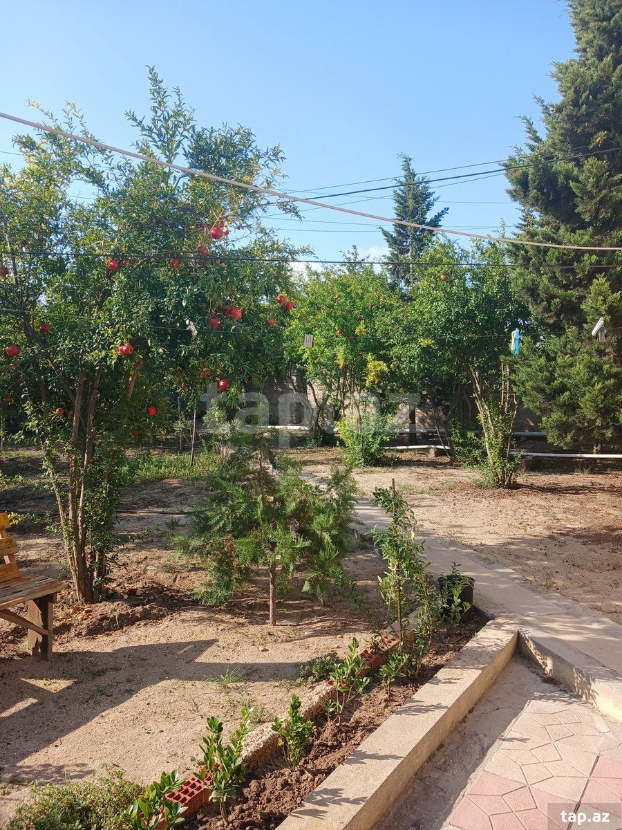 3 sot torpaq sahəsi, Albalı qəs.