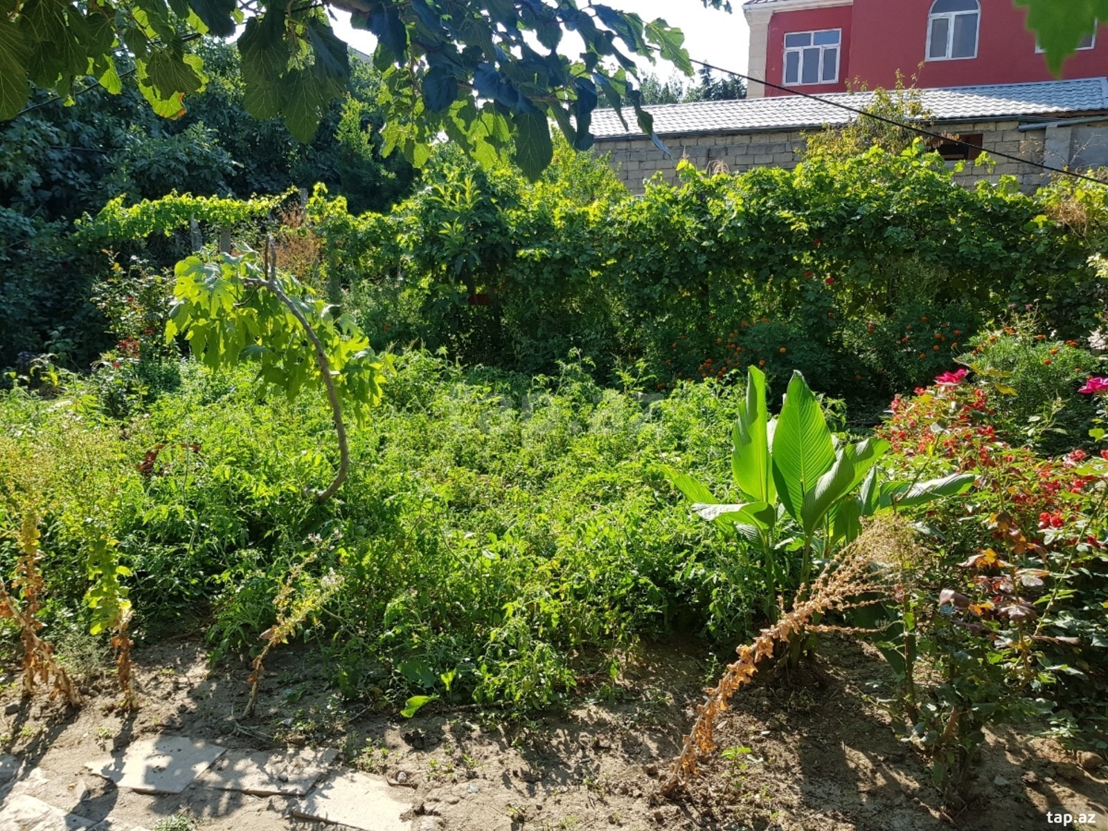 4 sot torpaq sahəsi, Sulutəpə qəs.