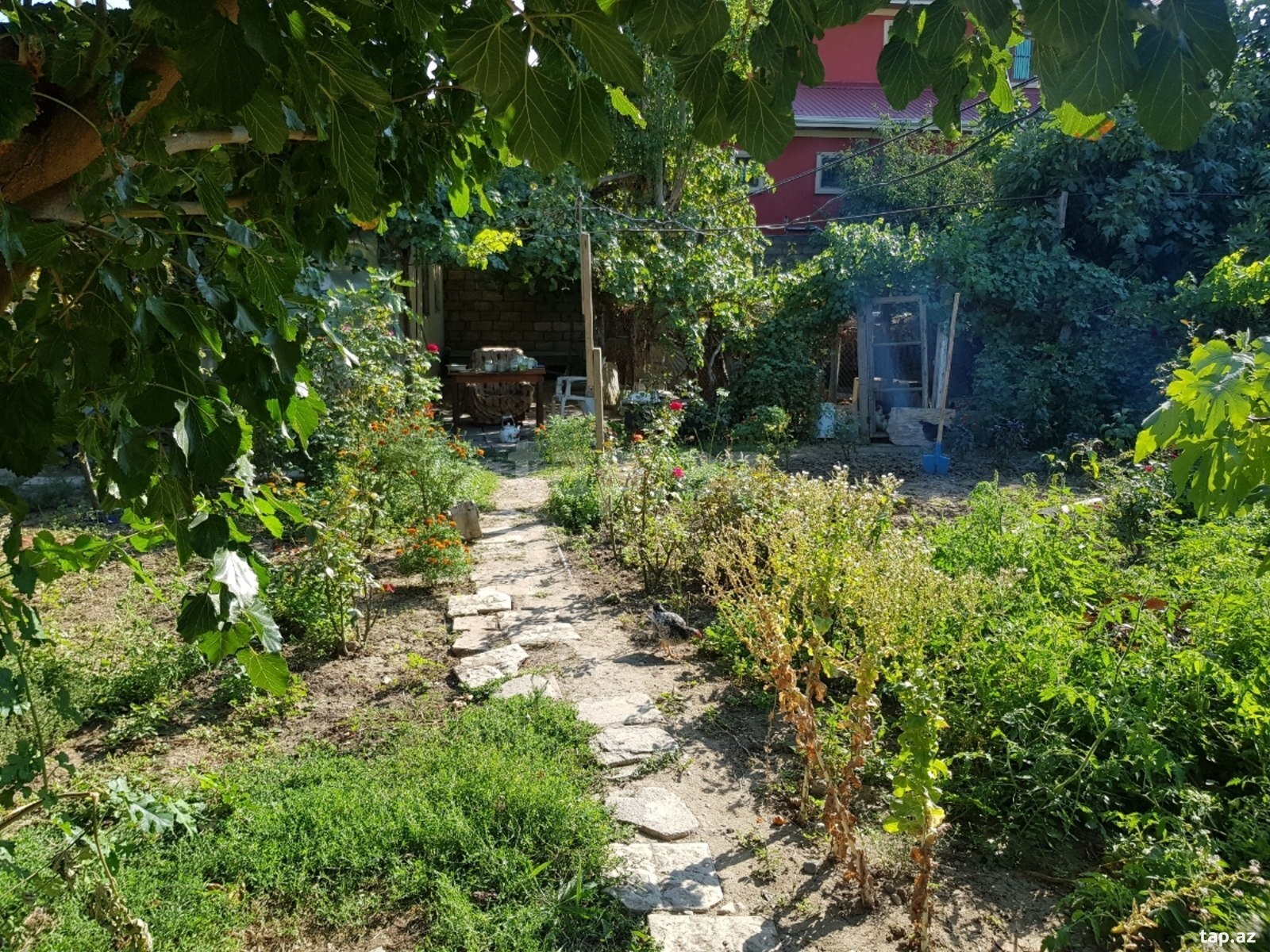 4 sot torpaq sahəsi, Sulutəpə qəs.
