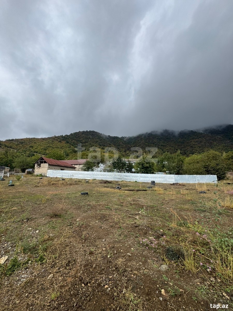 Land for sale, Gabala