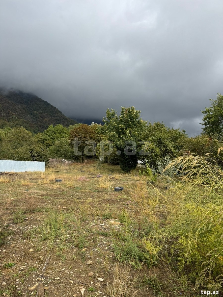 Land for sale, Gabala