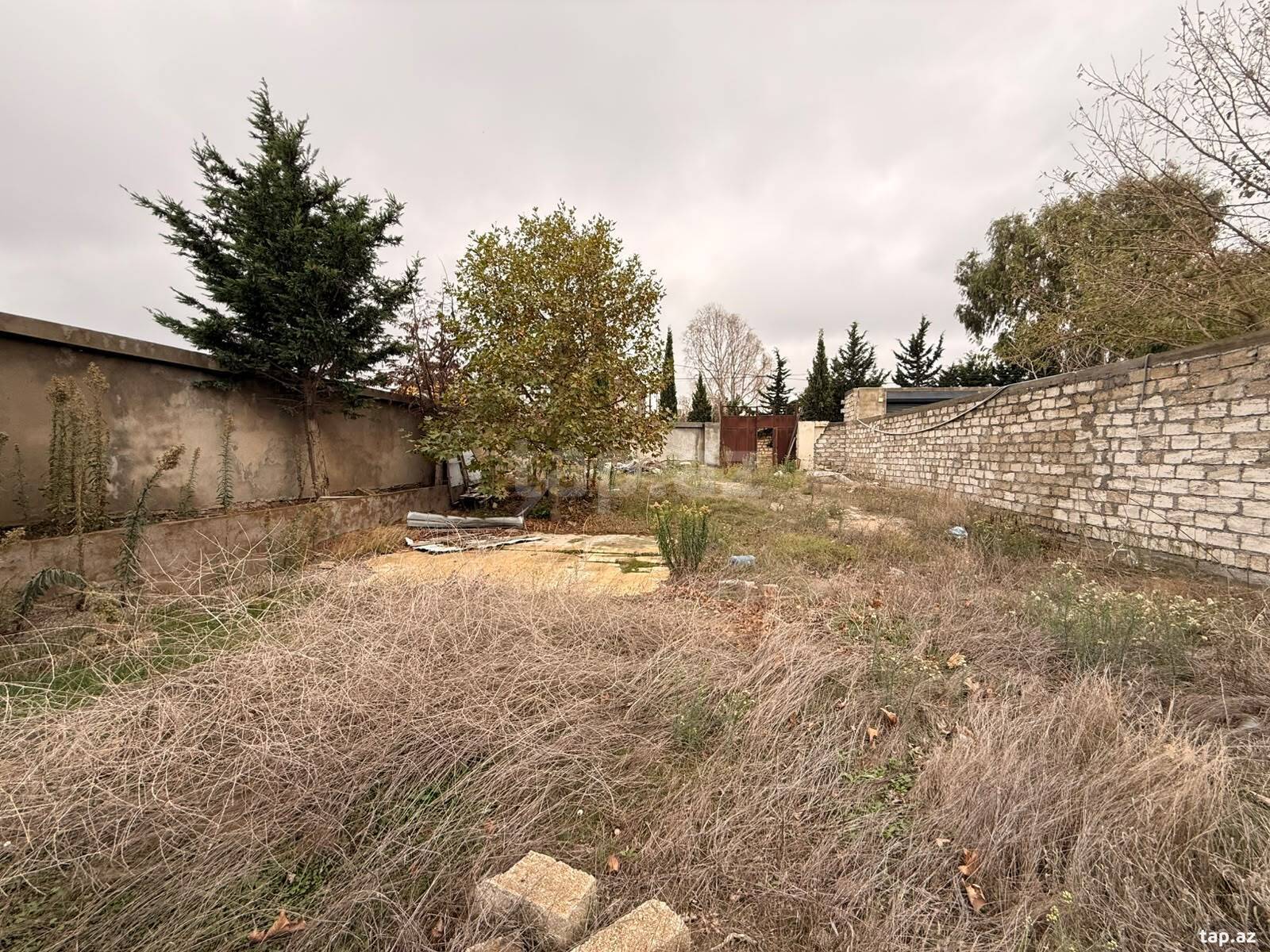 Torpaq satılır, Bakı