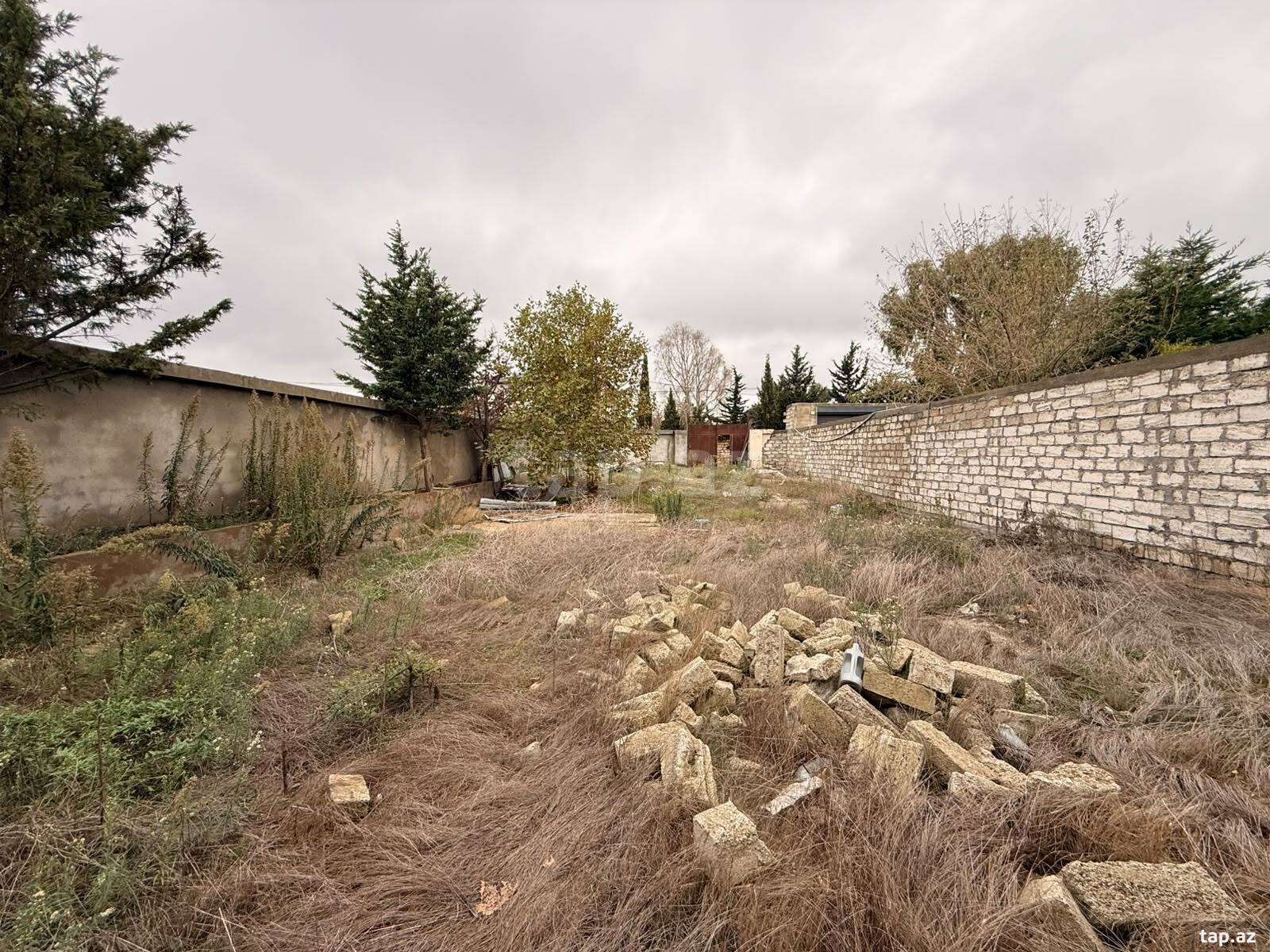 Torpaq satılır, Bakı