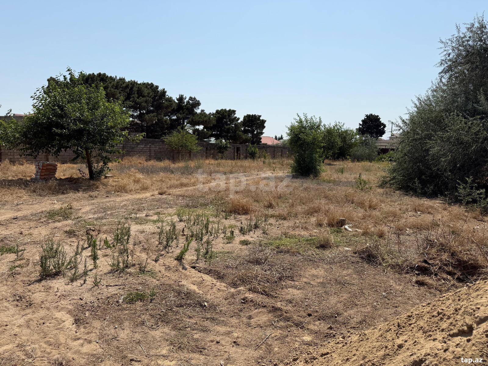 Torpaq satılır, Bakı