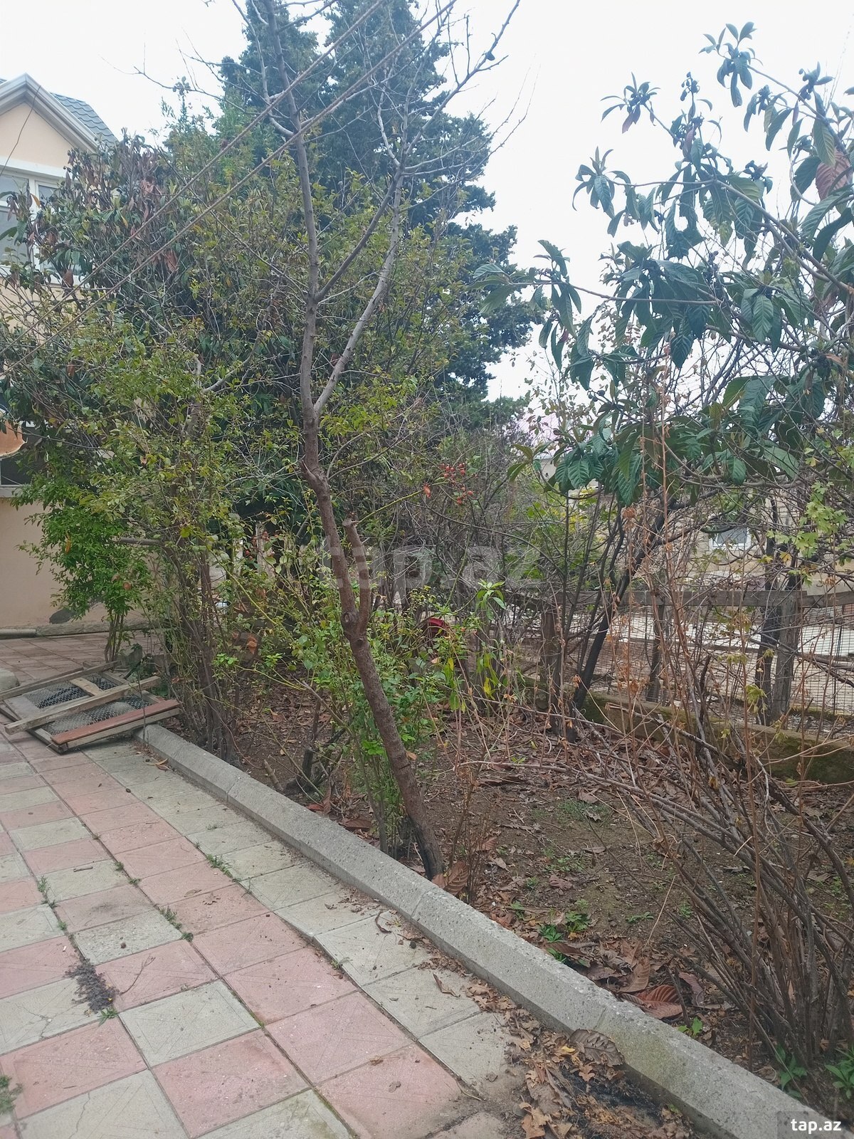 5 otaqlı həyət evi kirayə verilir, Masazır, Abşeron