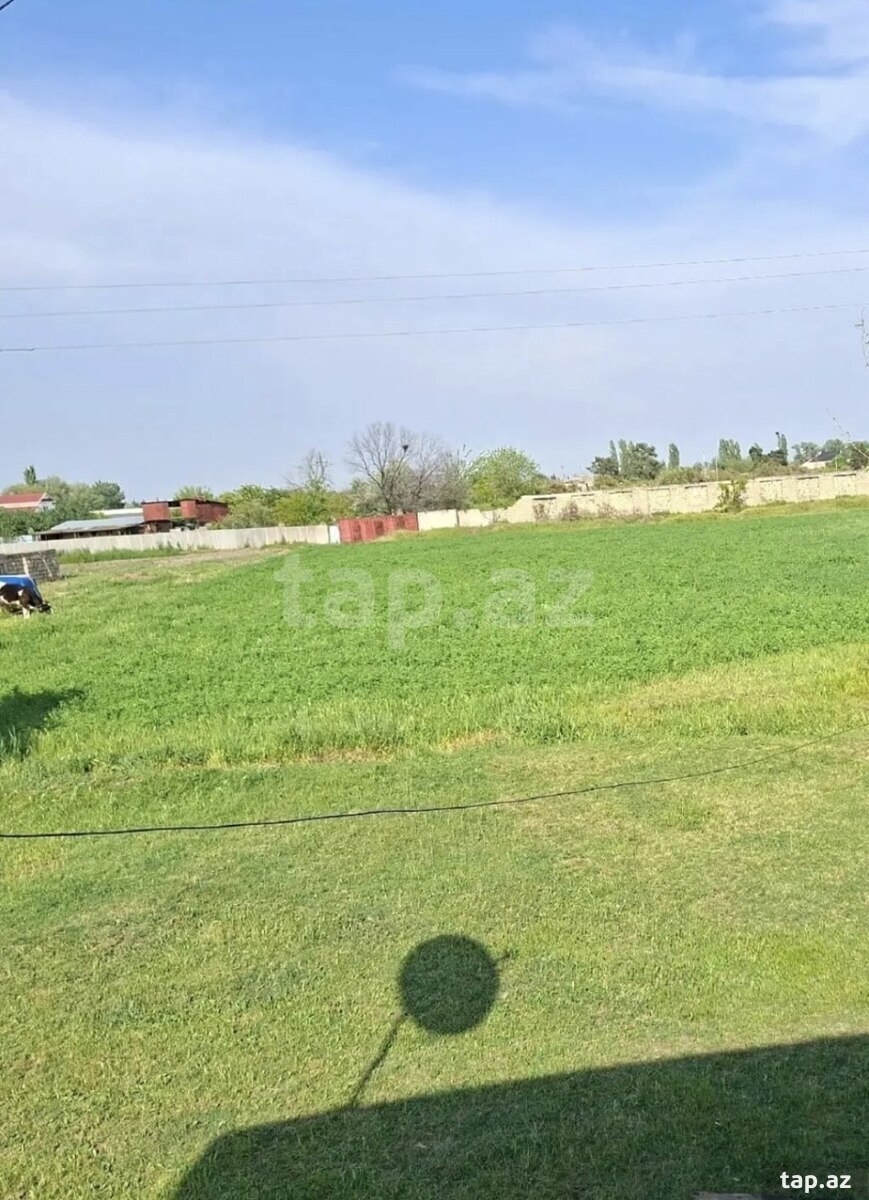 39 sot torpaq sahəsi, Sabirabad r.