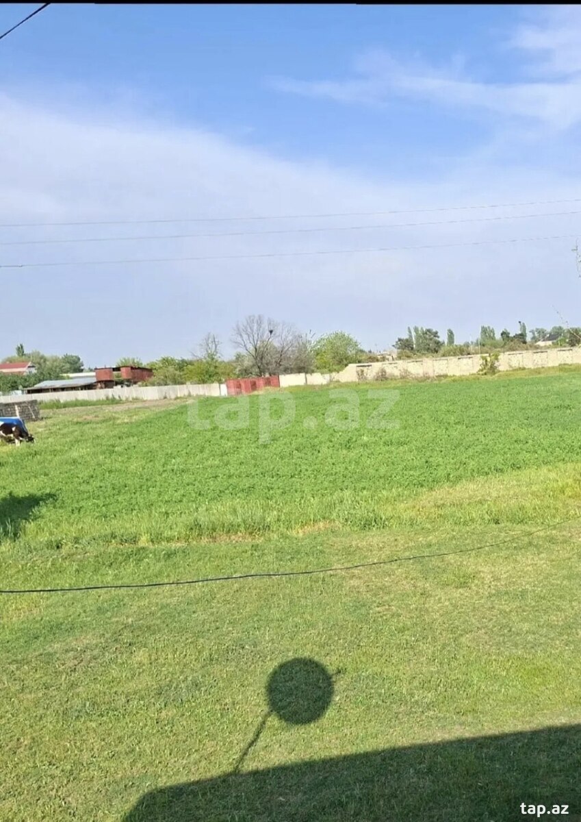 39 sot torpaq sahəsi, Sabirabad r.