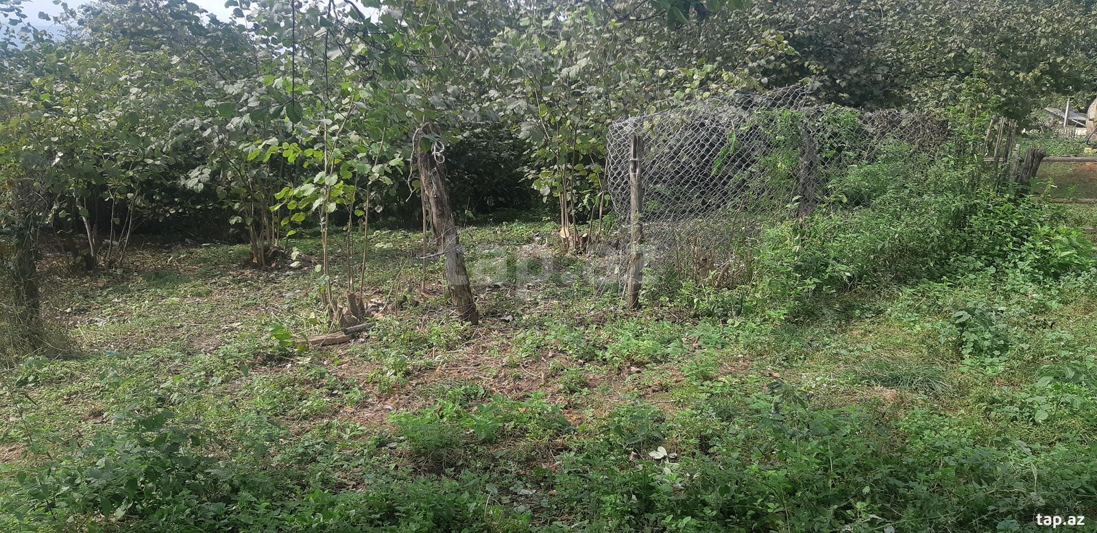 Torpaq satılır, Qonaqkənd, Quba