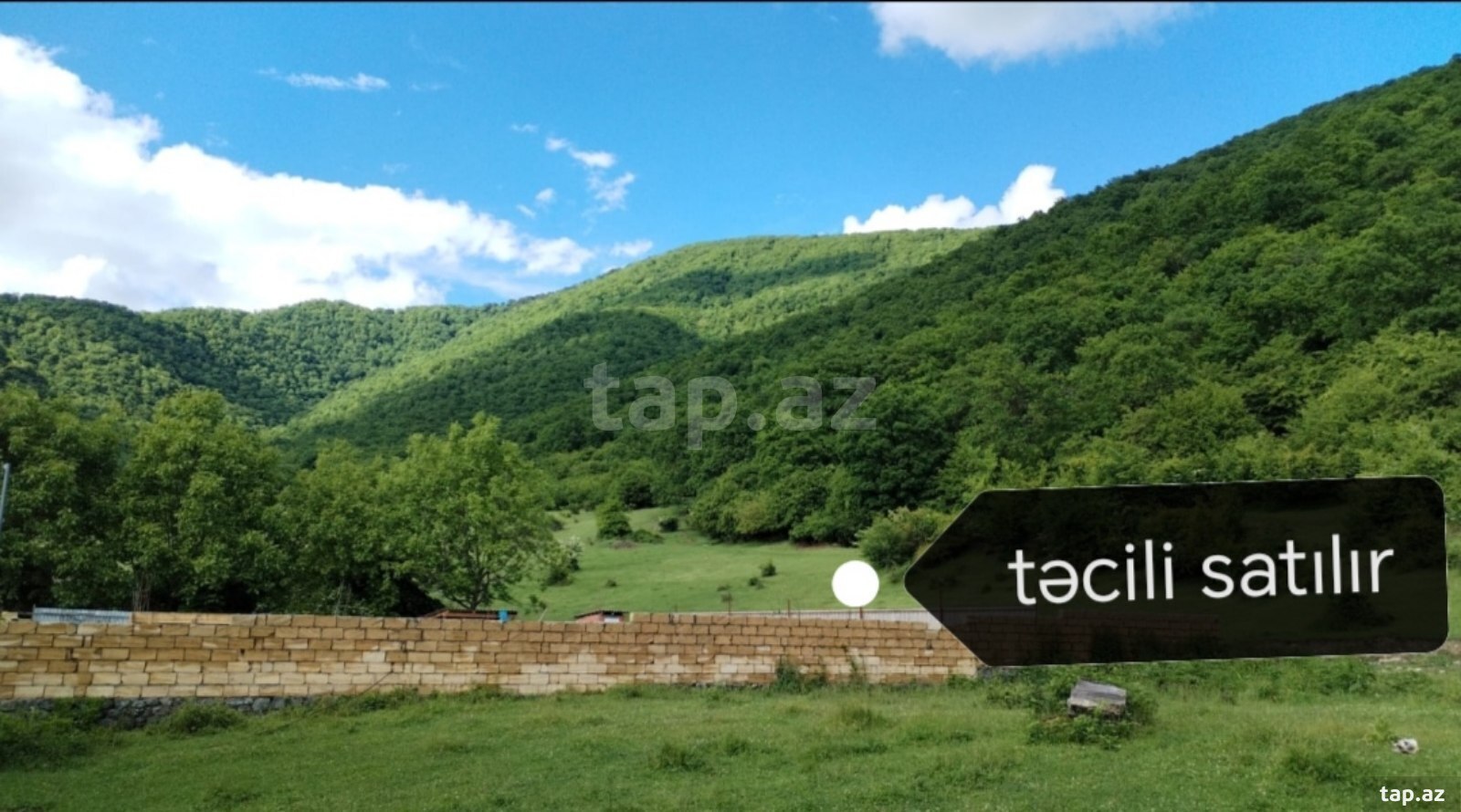 Torpaq satılır, Qax