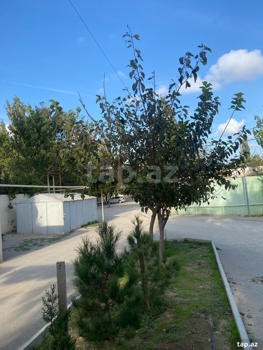 2 otaqlı mənzil satılır, Binə, Bakı