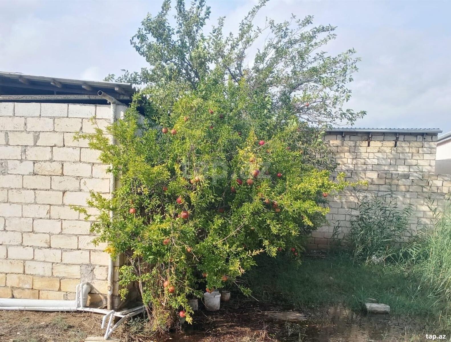 2-room private house for sale, Gobustan, Baku