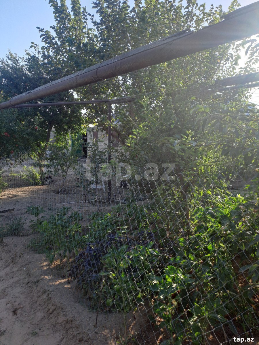 Land for sale, Baku