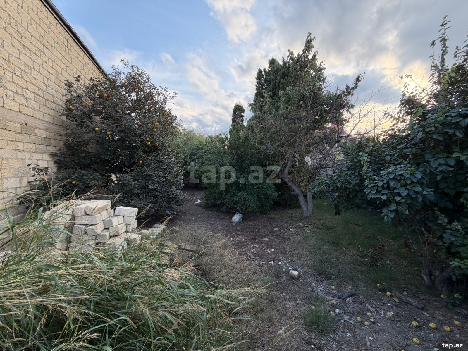 Torpaq satılır, Bakı