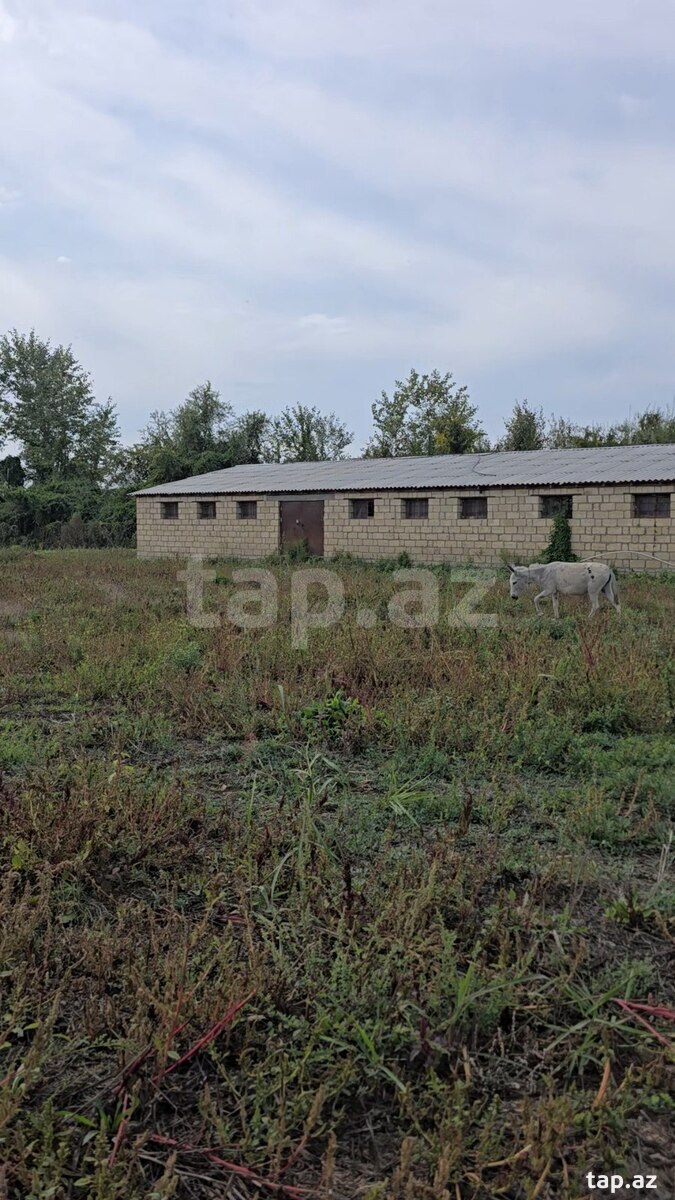 Land for sale, Gabala