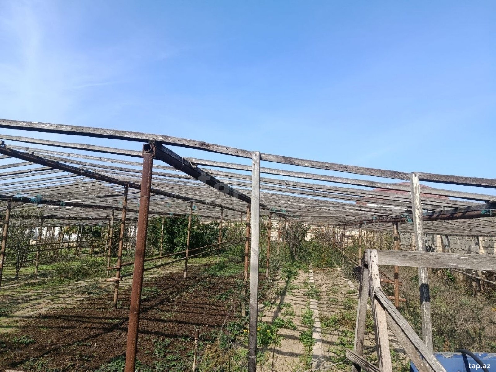 Torpaq satılır, Bakı