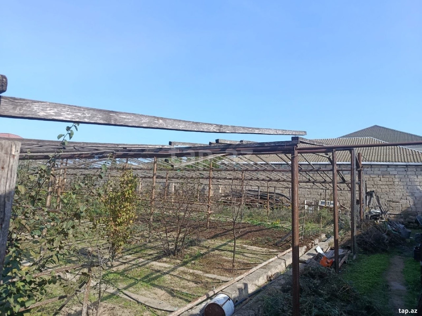 Torpaq satılır, Bakı