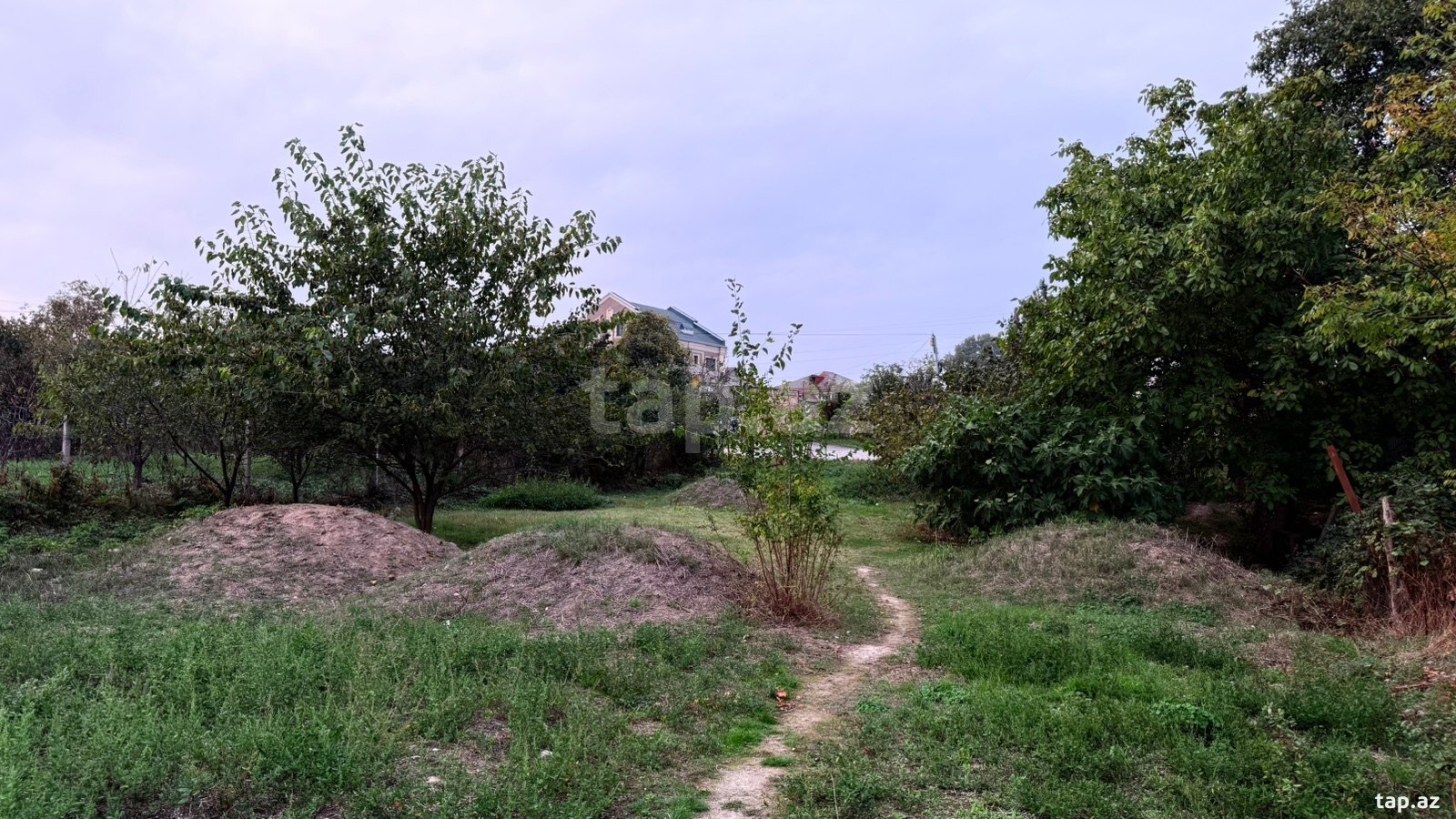 Torpaq satılır, Quba