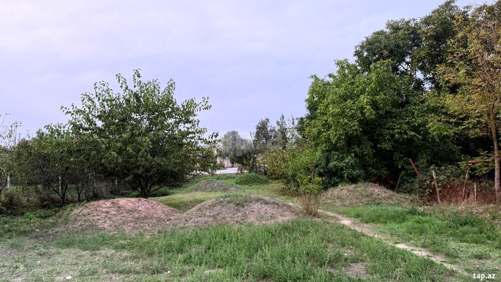 Torpaq satılır, Quba