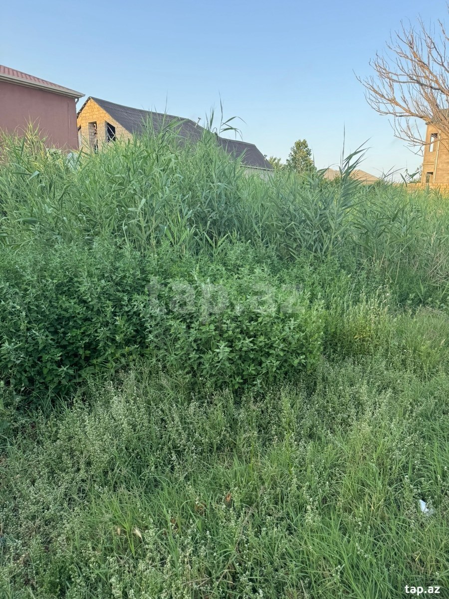 Land for sale, Sumgait