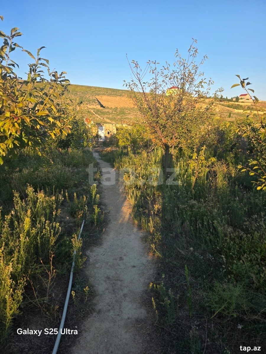 Torpaq satılır, Sumqayıt