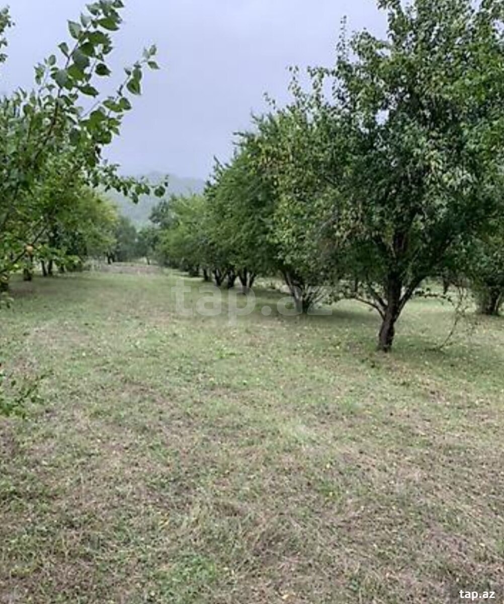 Torpaq satılır, Bakı