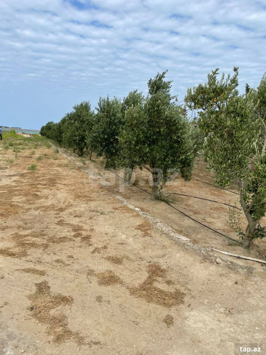 Land for sale, Baku
