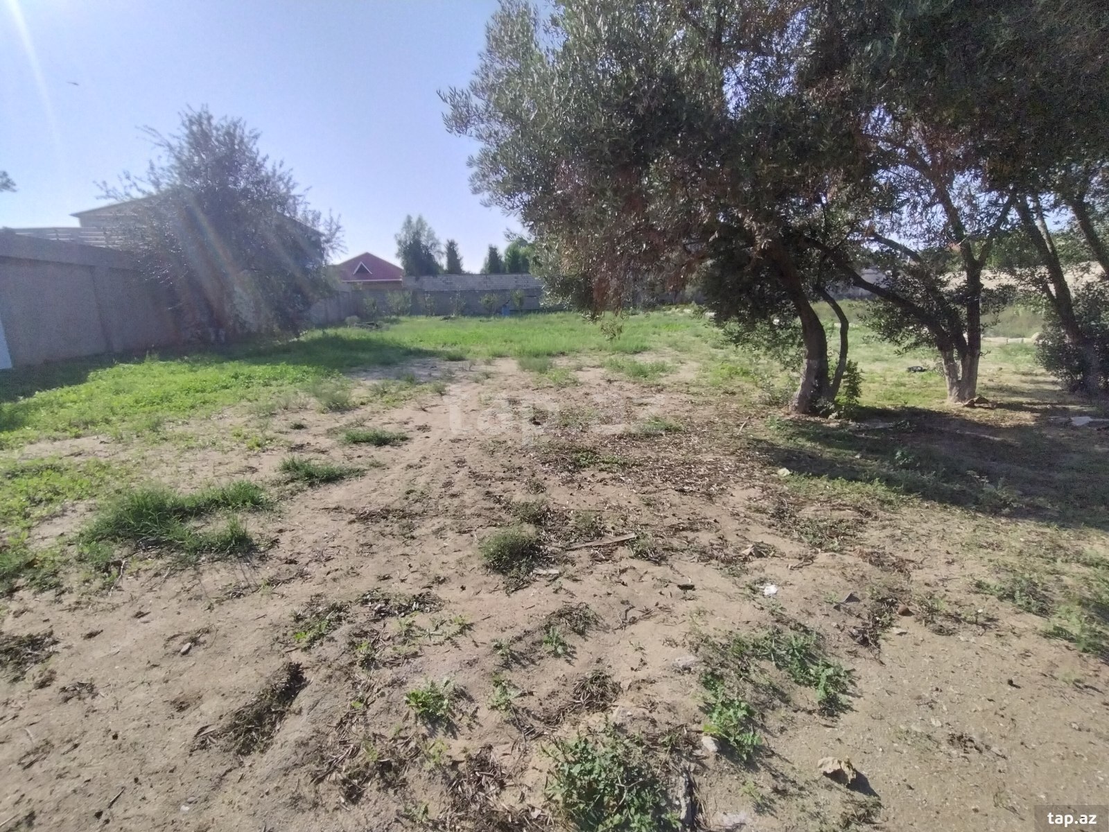 Torpaq satılır, Bakı