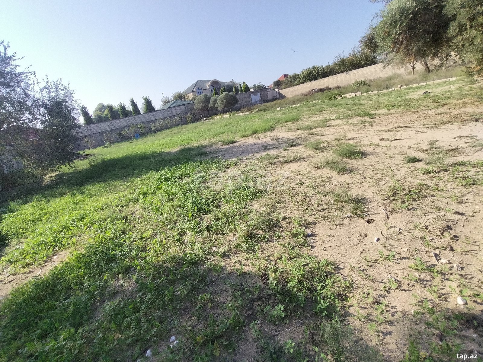 Torpaq satılır, Bakı