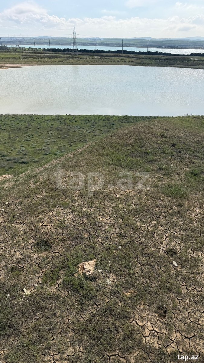 Torpaq satılır, Bakı