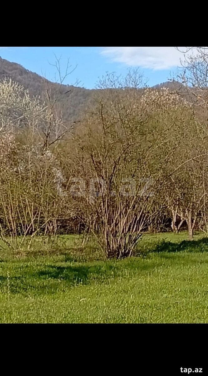 Torpaq satılır, Sumqayıt