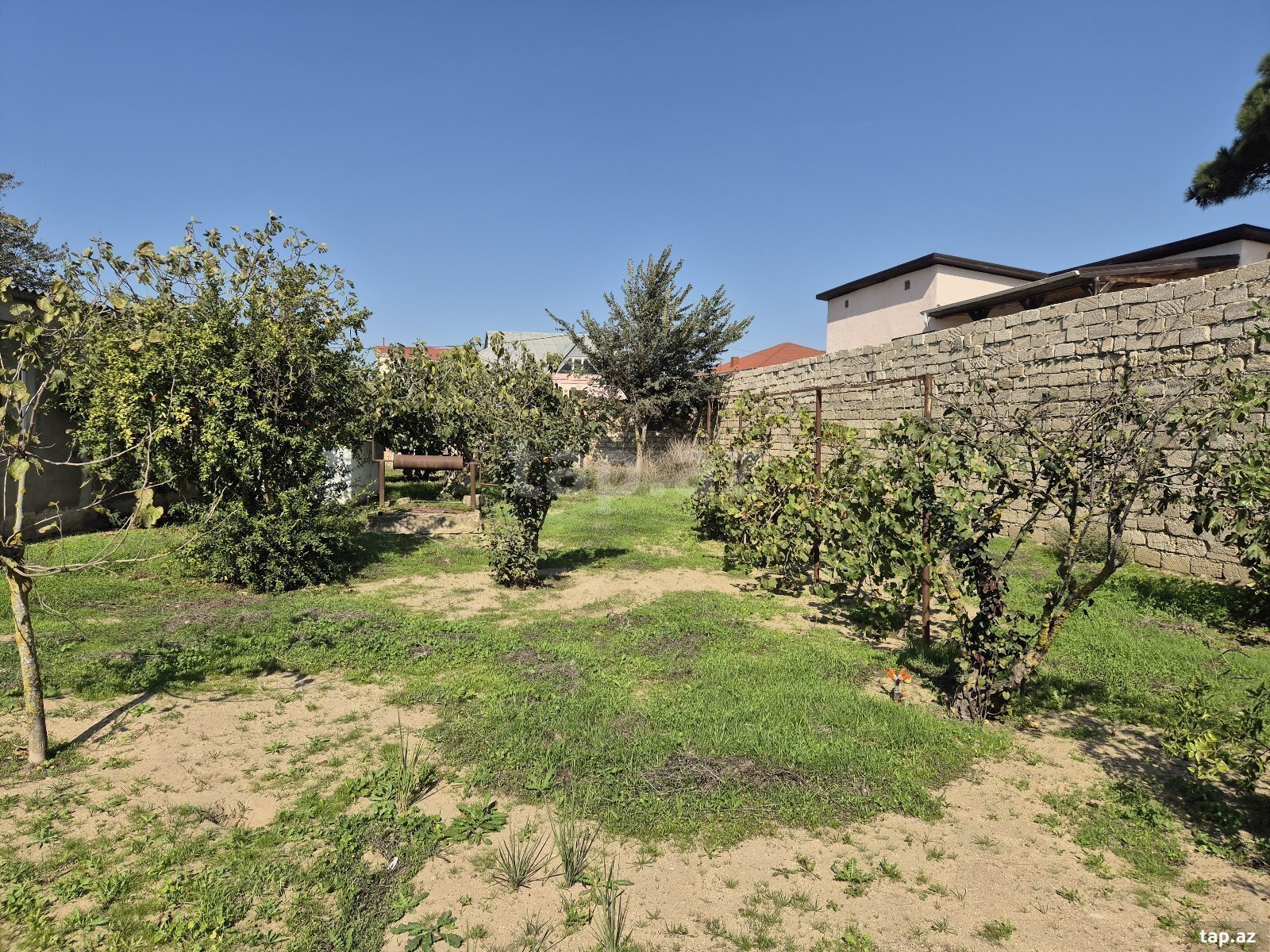 Torpaq satılır, Bakı