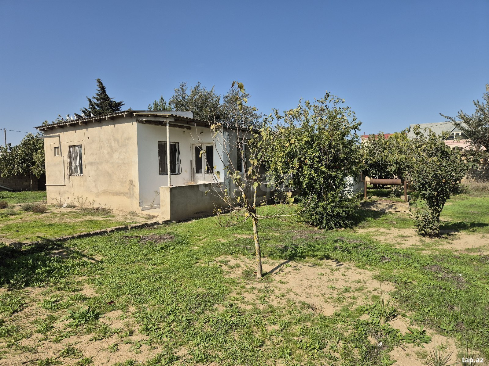 Torpaq satılır, Bakı