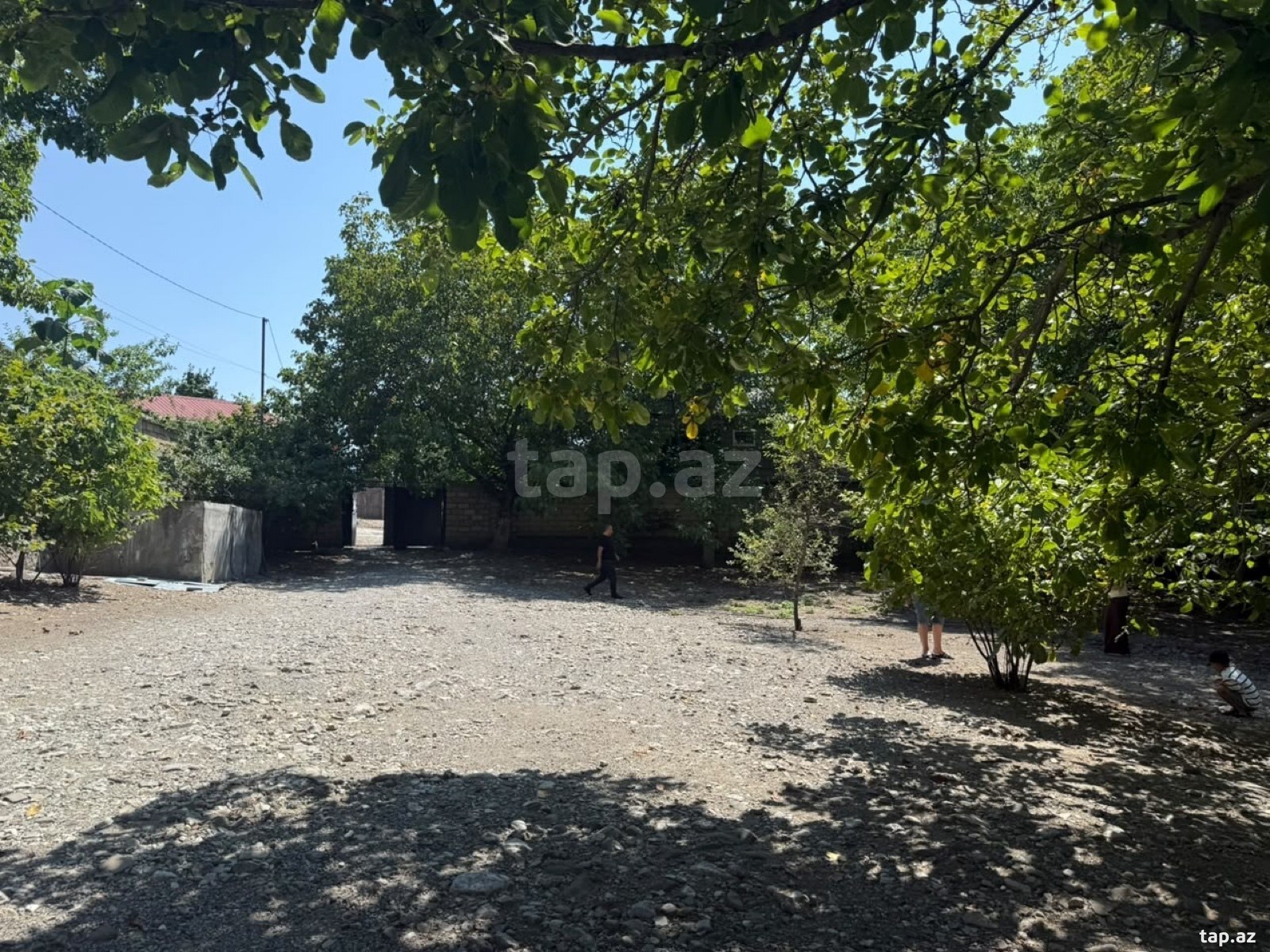 Land for sale, Ismayilli, Ismayilli