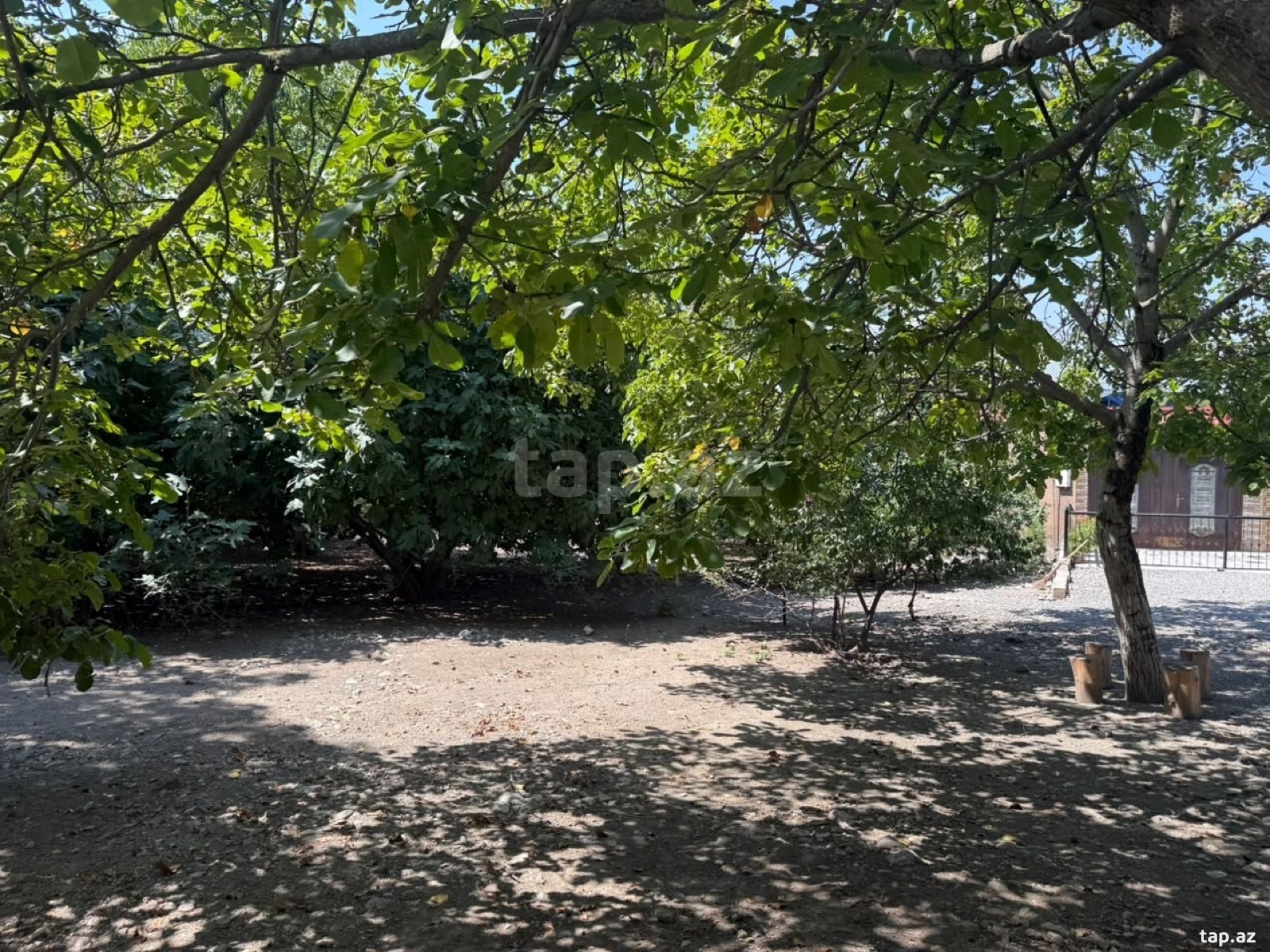 Land for sale, Ismayilli, Ismayilli