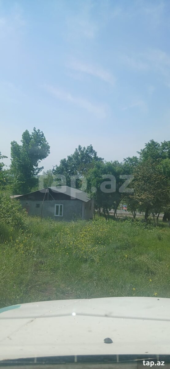 Land for sale, Tirjan, Ismayilli