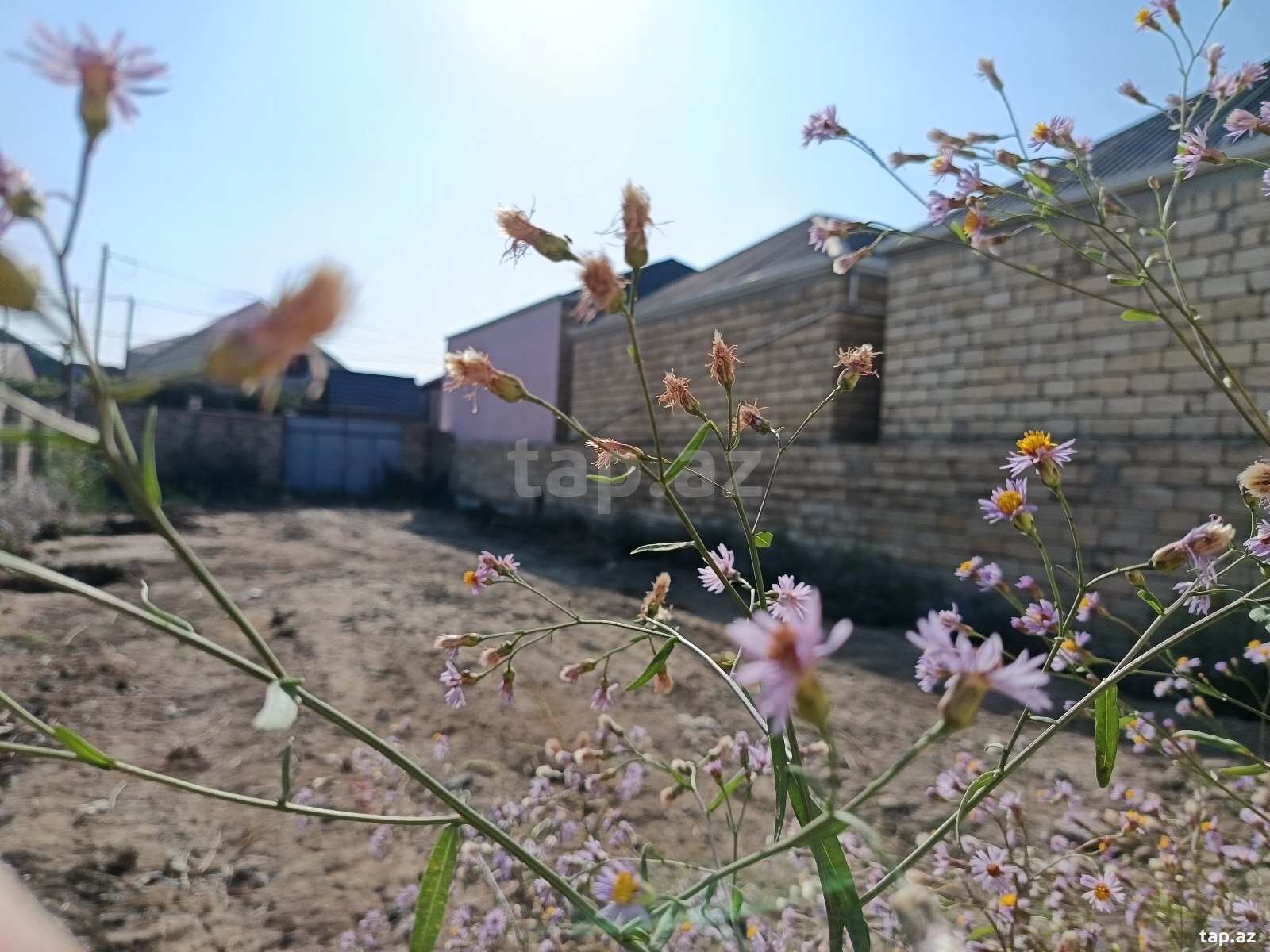 Land for sale, Sumgait